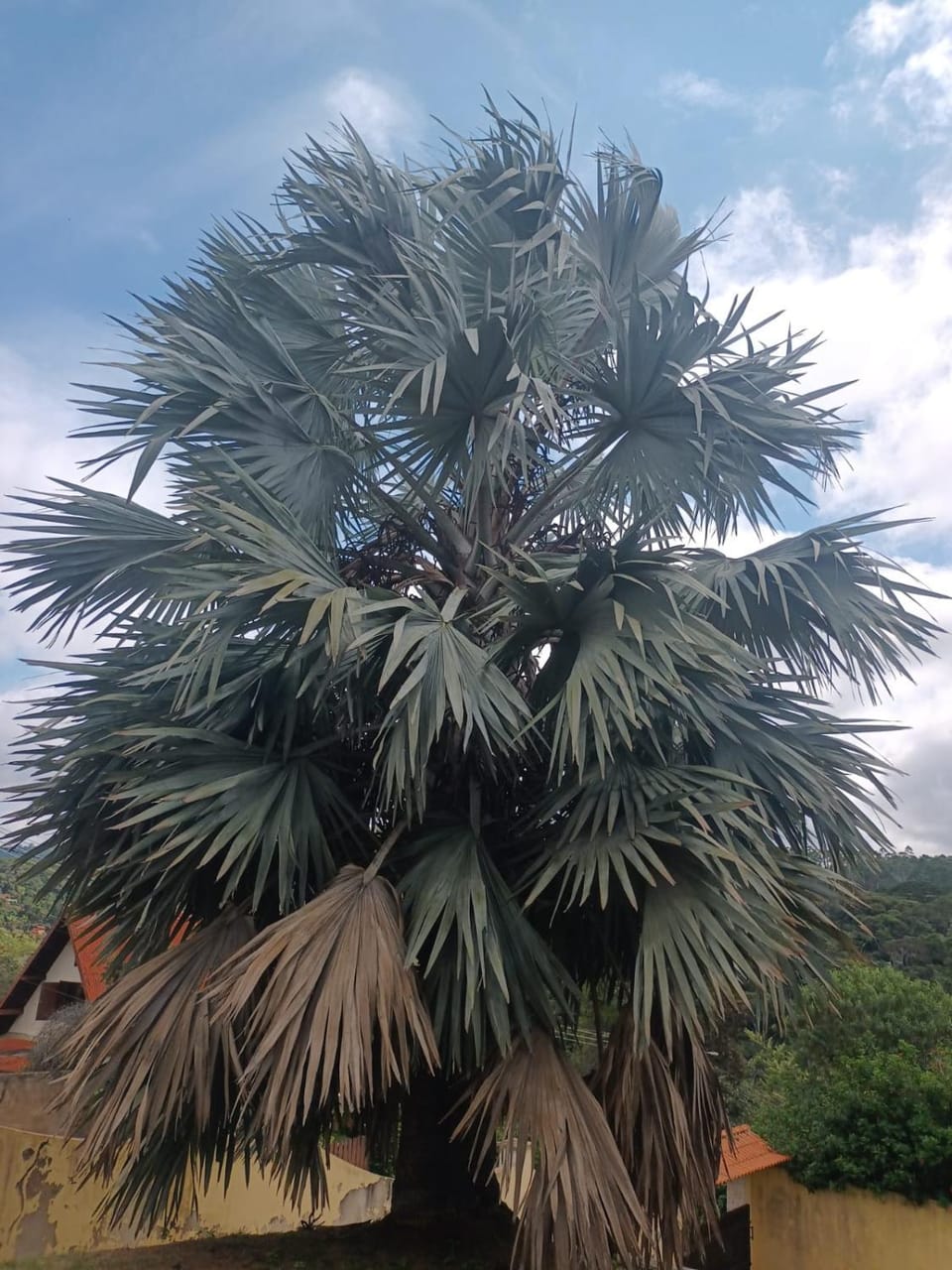 Quarto confortável Vacation rental in Miguel Pereira