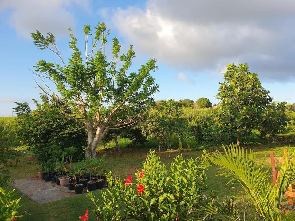 Garden, Garden view