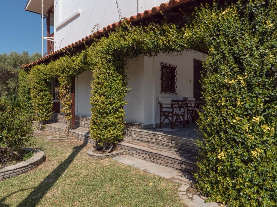 Property building, Garden view