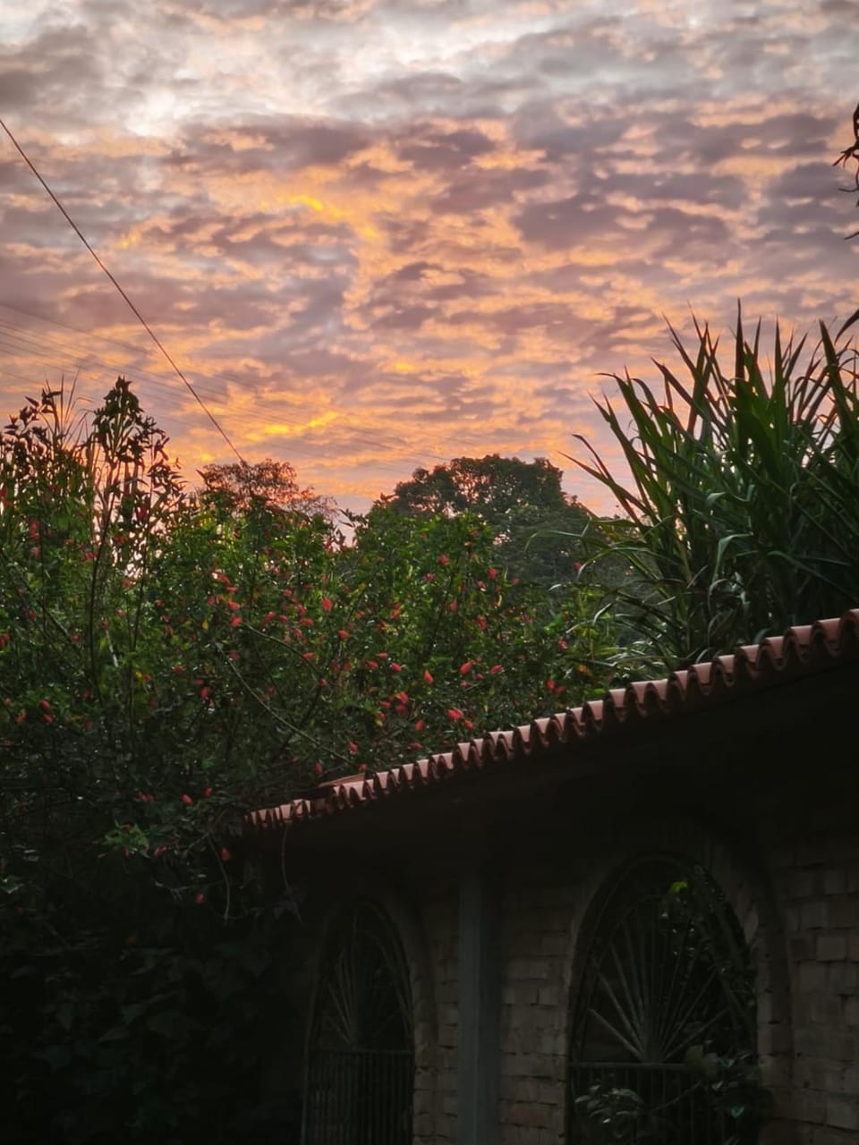 Natural landscape, Sunrise