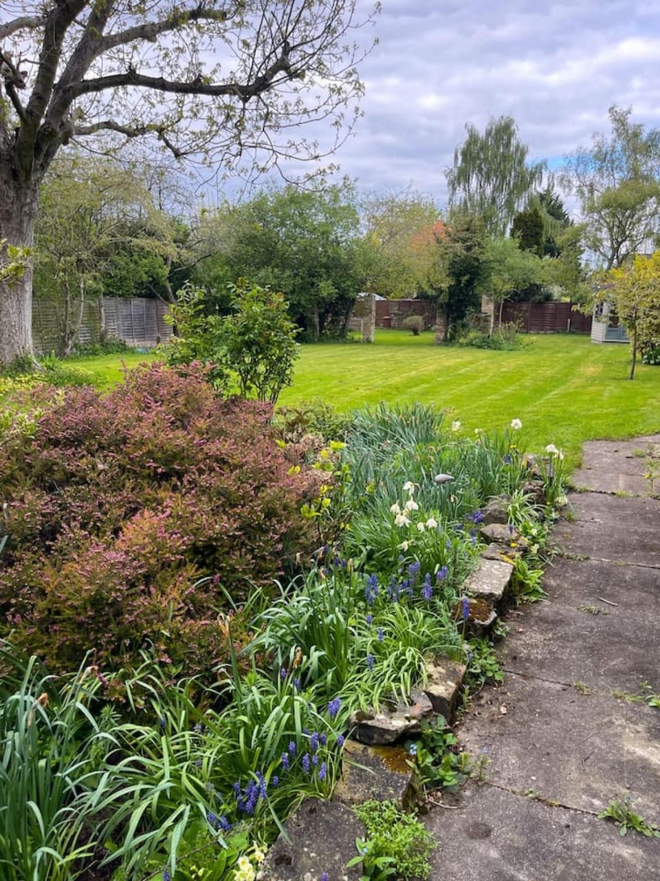 Convenient Studio near Addenbrookes with Parking Apartment in Cambridge