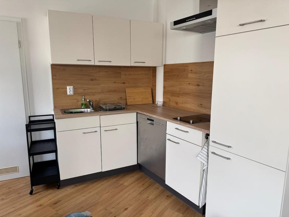 Kitchen or kitchenette, dishwasher
