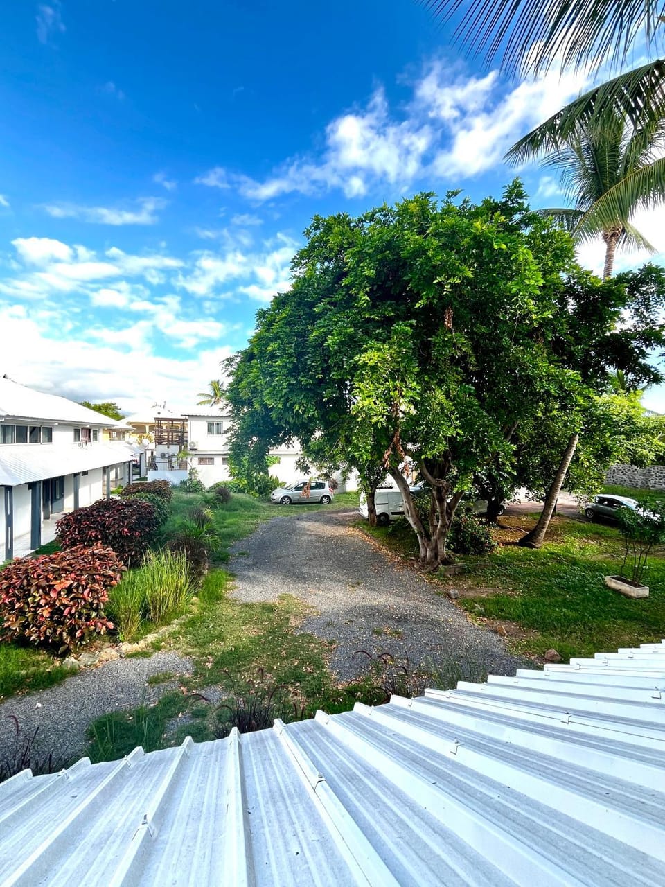 Day, Natural landscape, Garden, Garden view, Street view