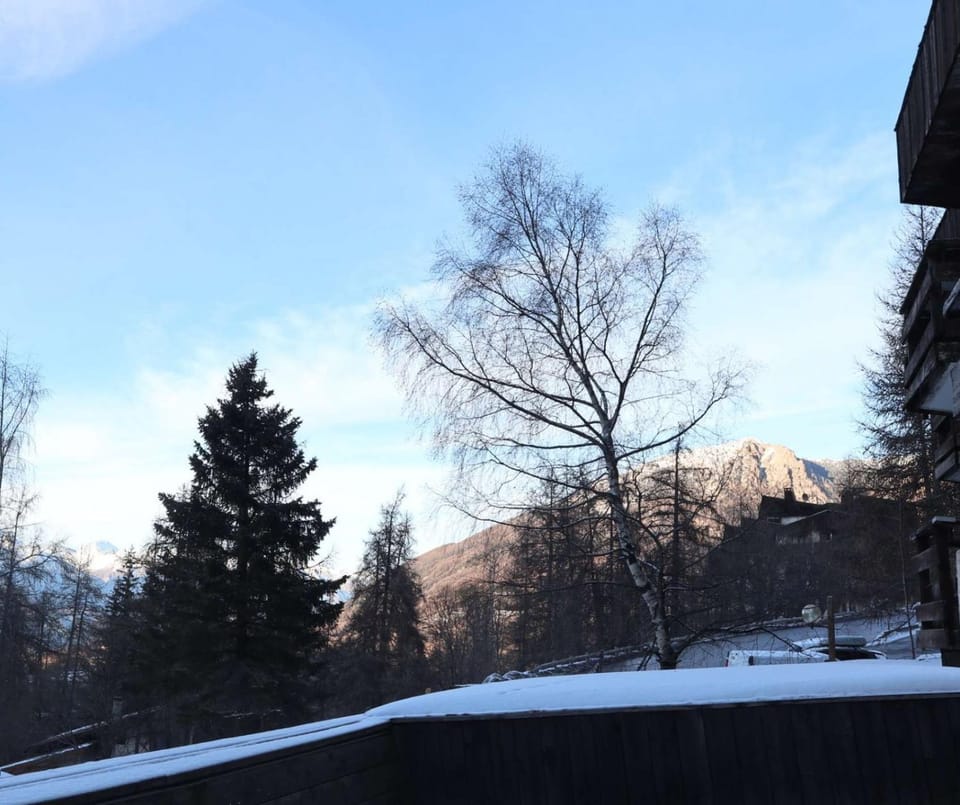 Natural landscape, Winter, Mountain view
