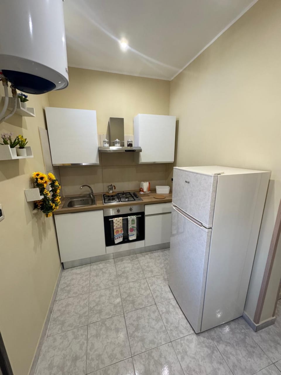 Al Vecchio Mulino Apartment in Naples
