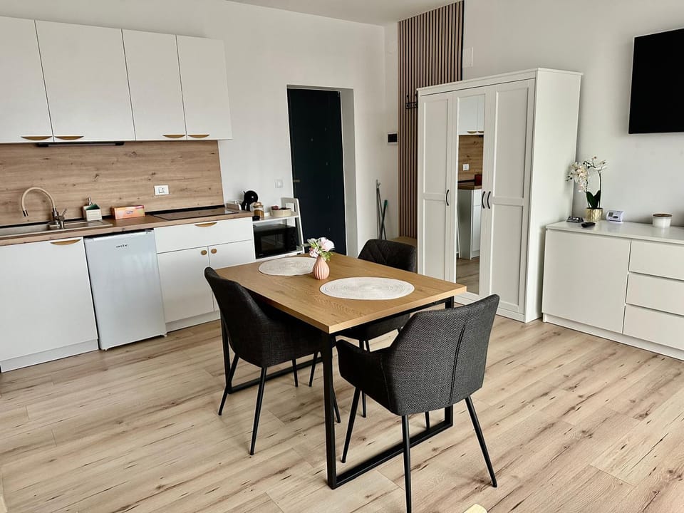 Vila Sas Apartment in Brasov