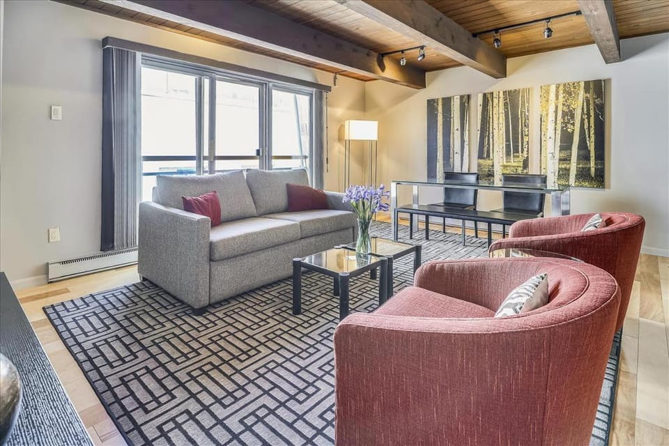 Modern Condo, 1 Block to Gondola - Ideal Vacation Location Apartment in Aspen