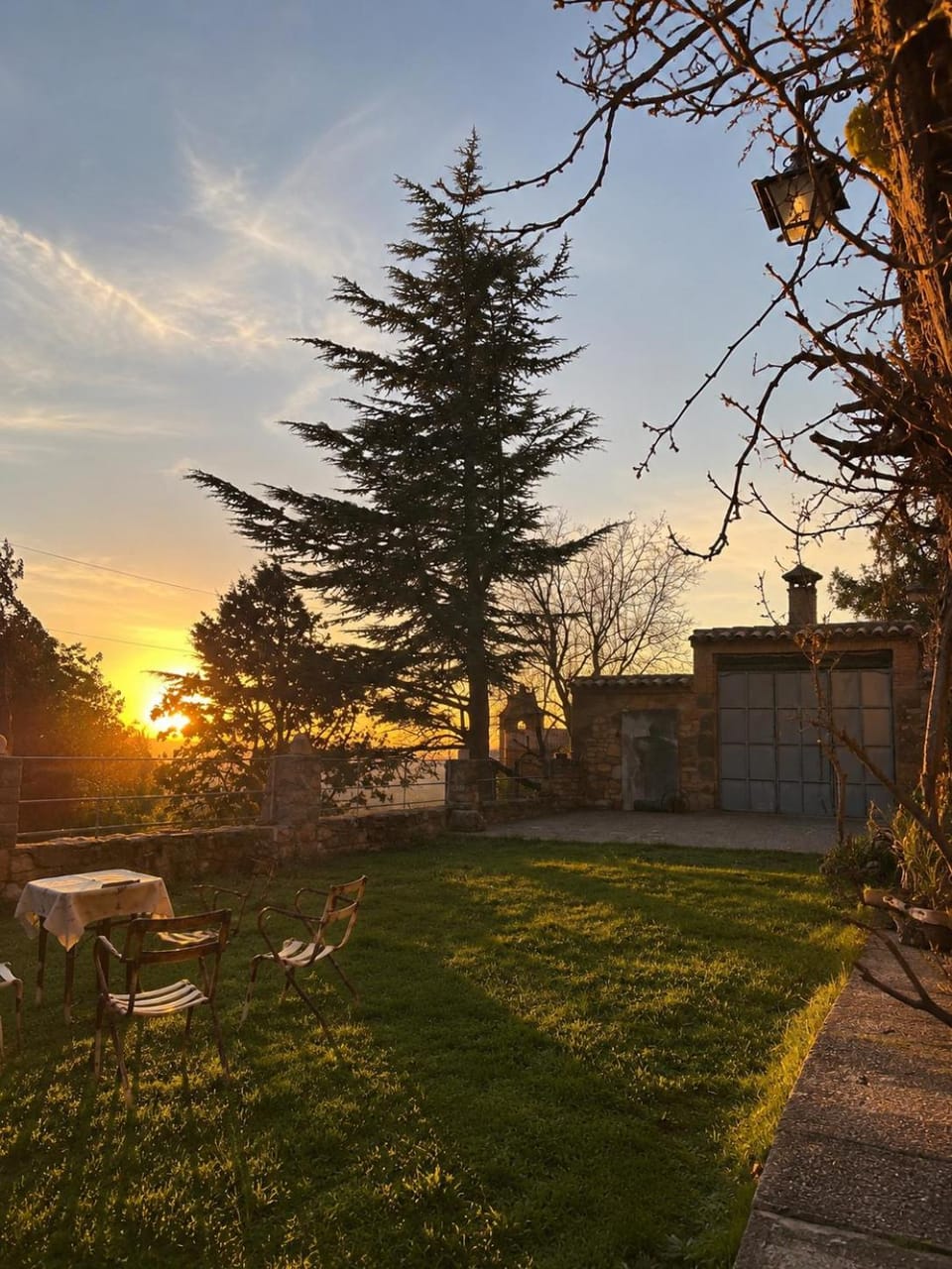 Garden view