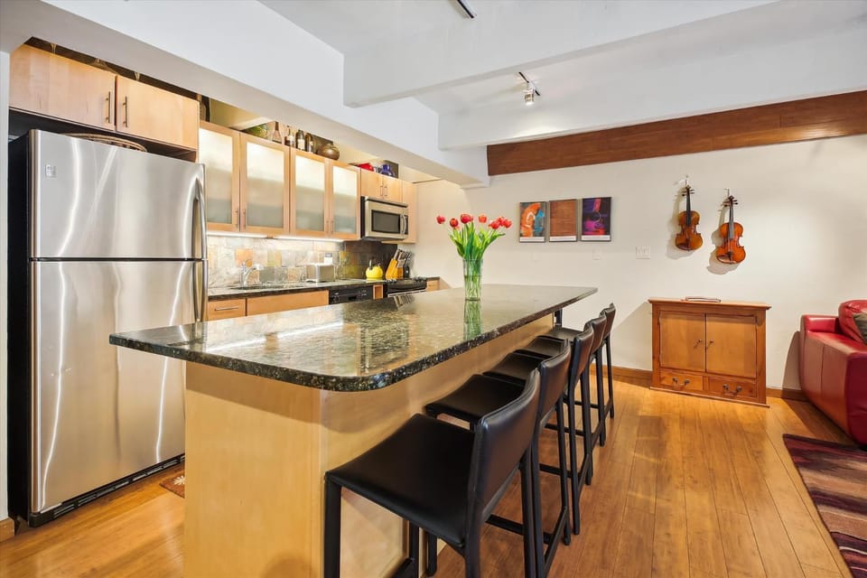 Beautiful Deluxe Condo in Aspen with Hot Tub Apartment in Aspen