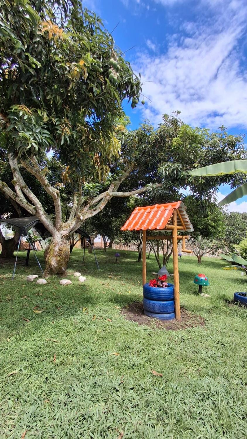 Natural landscape, Garden, Garden view
