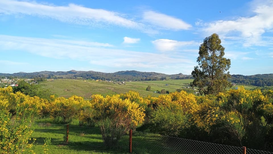 Cabaña La Resolana Apartment in Tandil