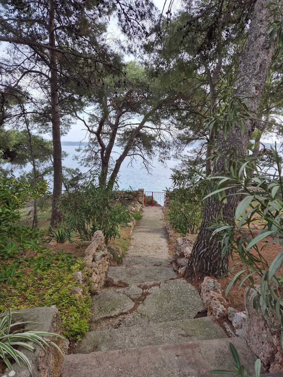 Location, children, Family