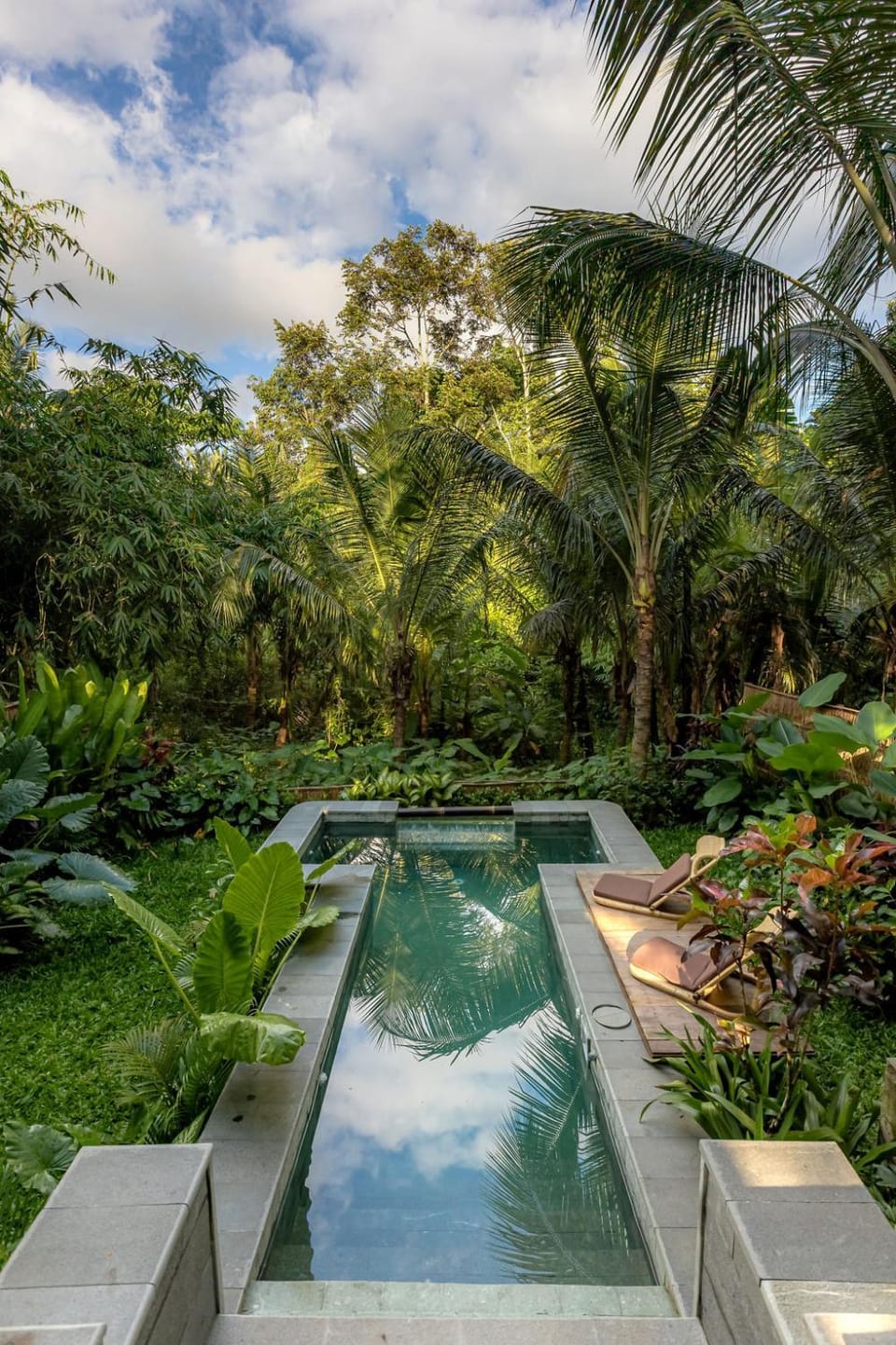 Natural landscape, Garden, Garden view, Pool view, Swimming pool, Swimming pool