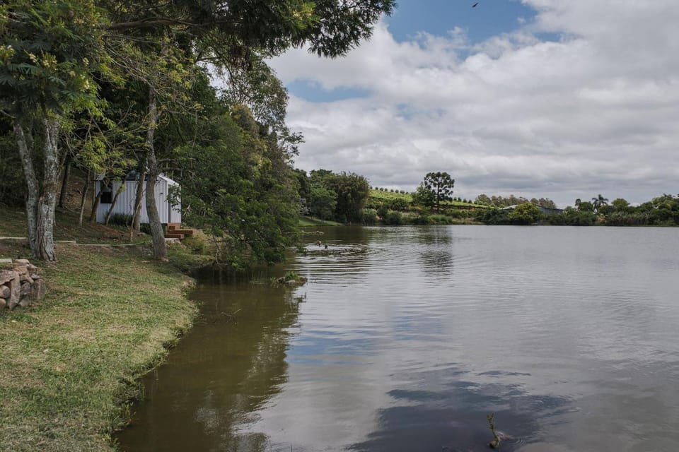 Lake view