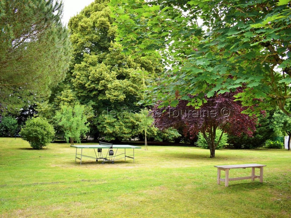 Gîte Tourangelle avec Piscine Intérieure, Wifi, Jardin - FR-1-381-619 House in Centre-Val de Loire