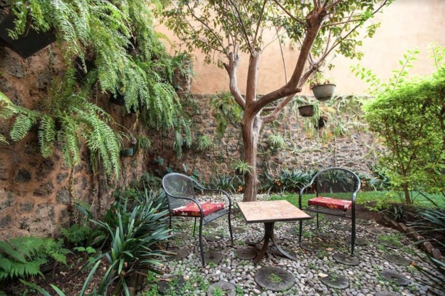 Orchidelirium Casa Hotel & Salud Estética Hotel in Cuernavaca