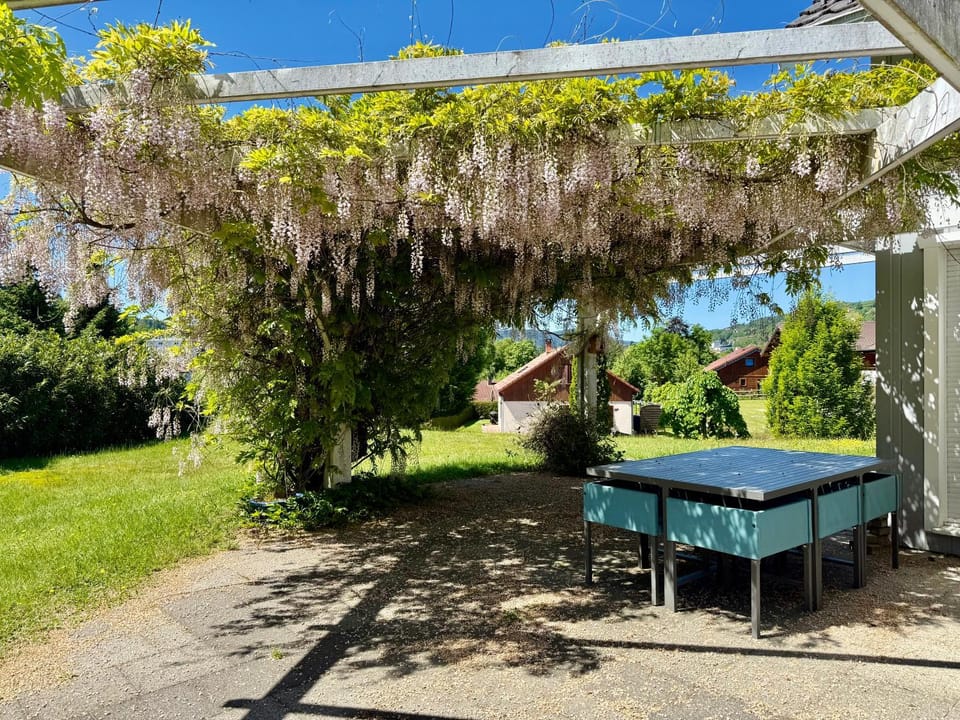 Le Jardin de Rose et Capucine, piscine et jardin avec terrasse House in Gérardmer