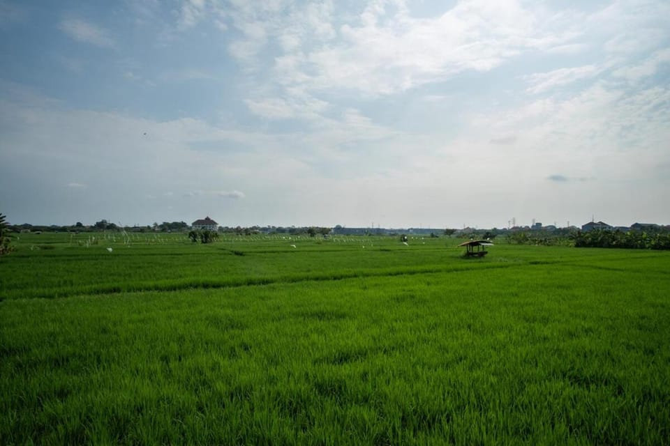 Natural landscape