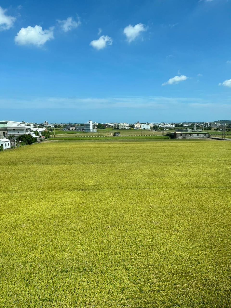 Day, Natural landscape, View (from property/room)