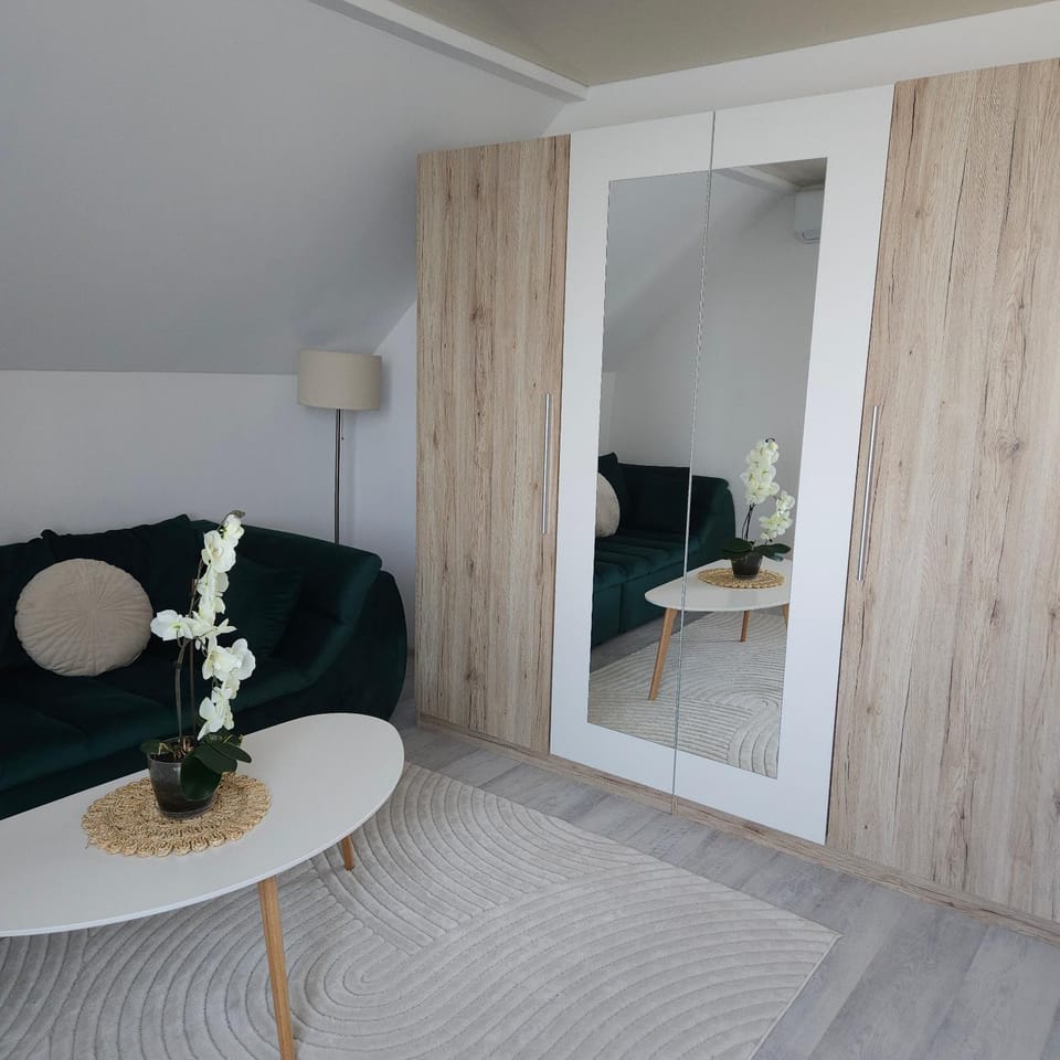 Cozy SoRaDa 3 apartment Apartment in Romania