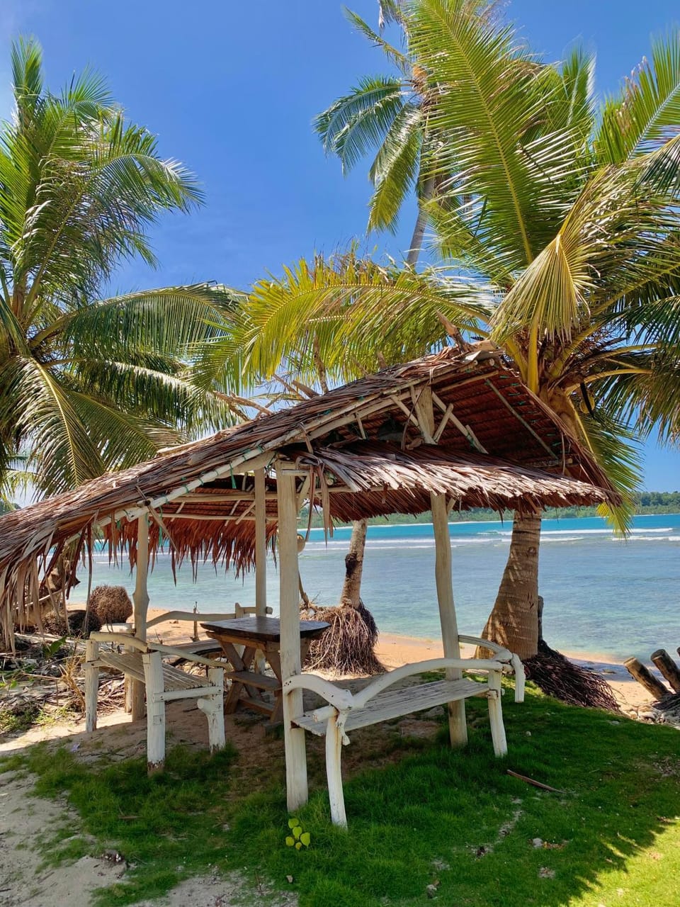 Natural landscape, Garden, Beach, Sea view