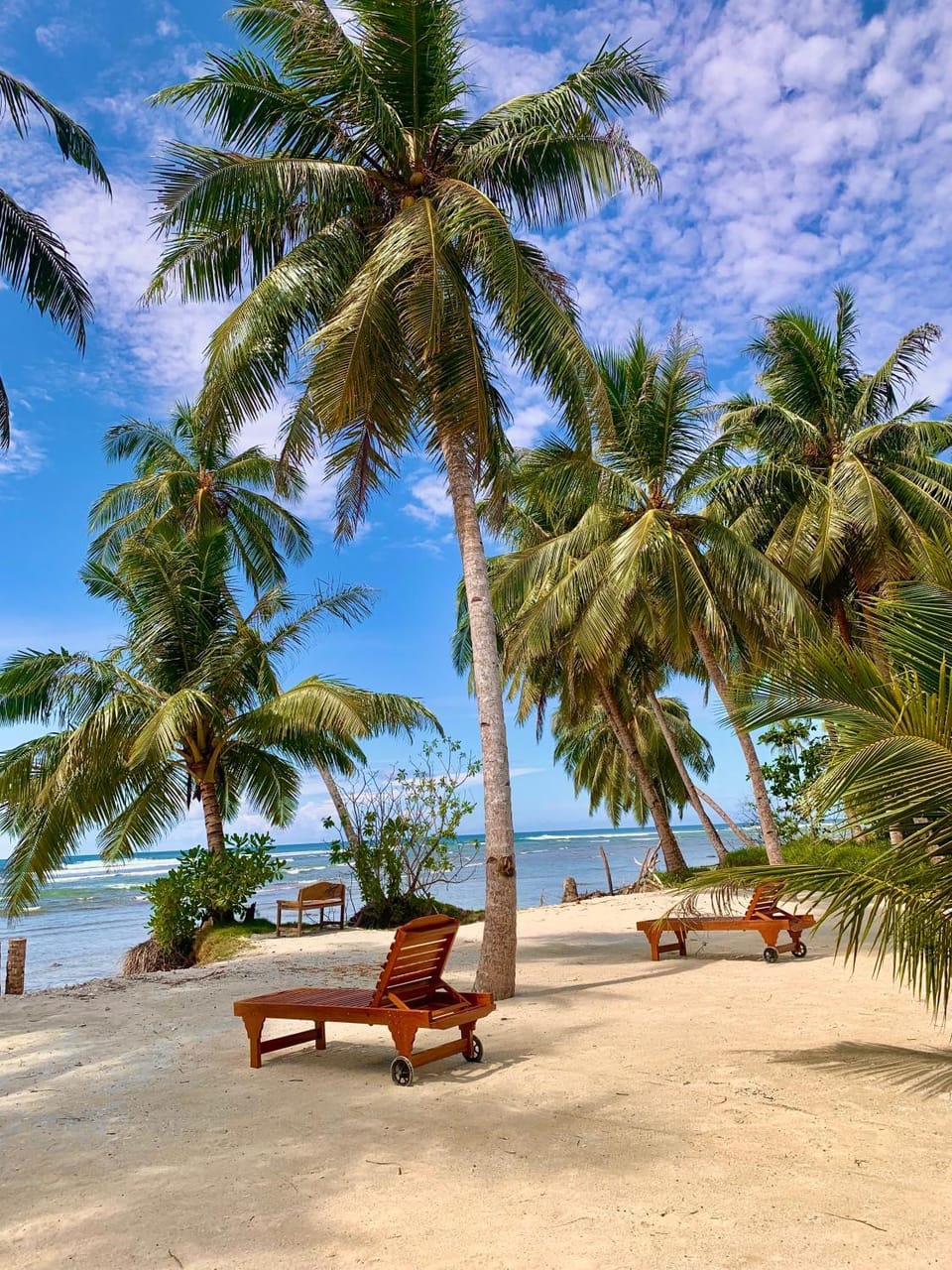 Natural landscape, Garden, Beach, Sea view, sunbed