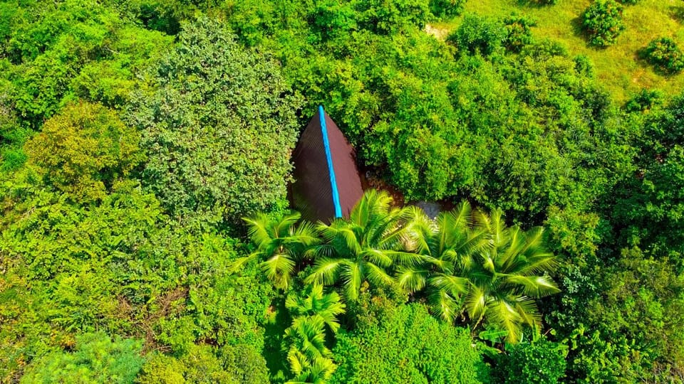 Nearby landmark, Spring, Day, Natural landscape, Bird's eye view, Garden, Garden view