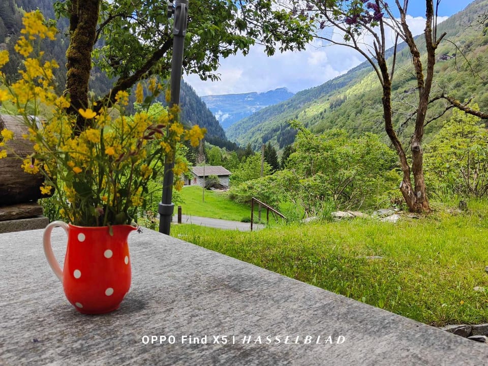 Spring, Natural landscape