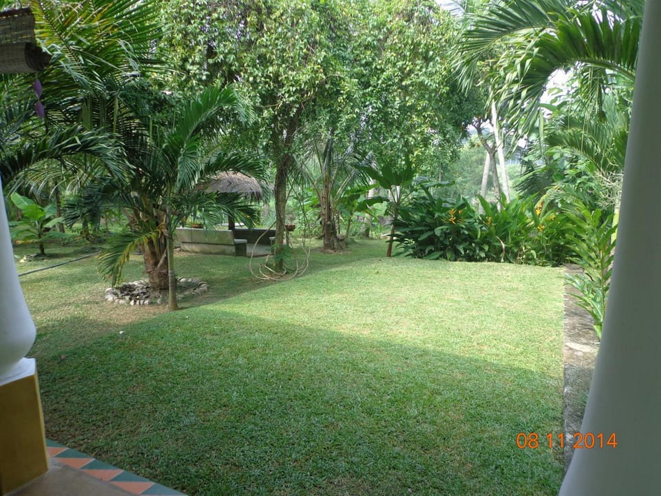 Natural landscape, Garden, Garden view