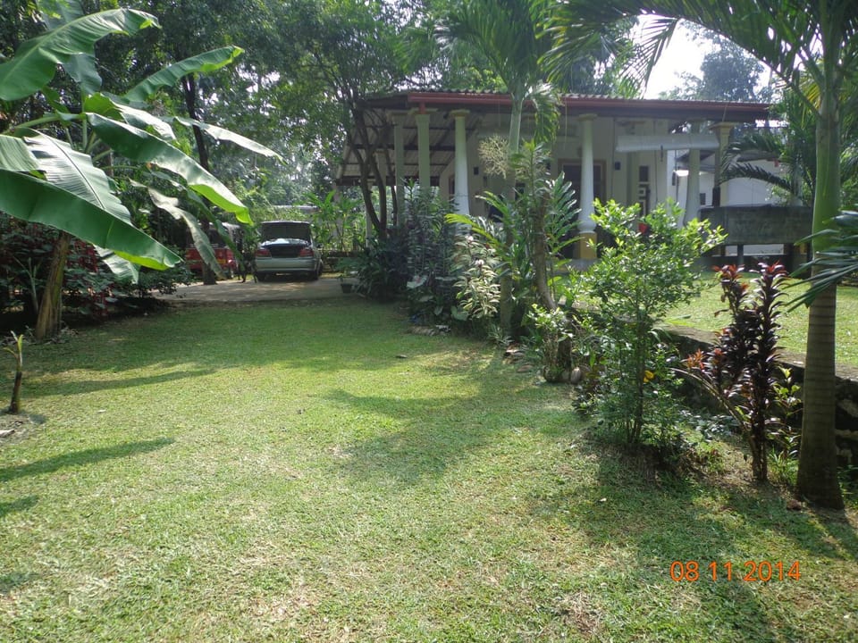 Property building, Natural landscape, Garden, Garden view