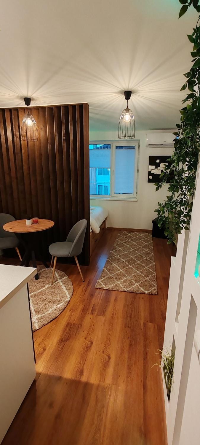 Raluca Studio Central HD Apartment in Serbia