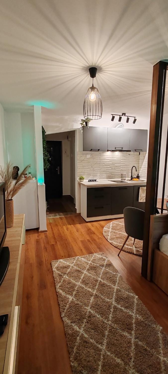 Raluca Studio Central HD Apartment in Serbia