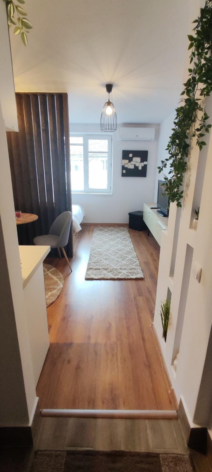 Raluca Studio Central HD Apartment in Serbia