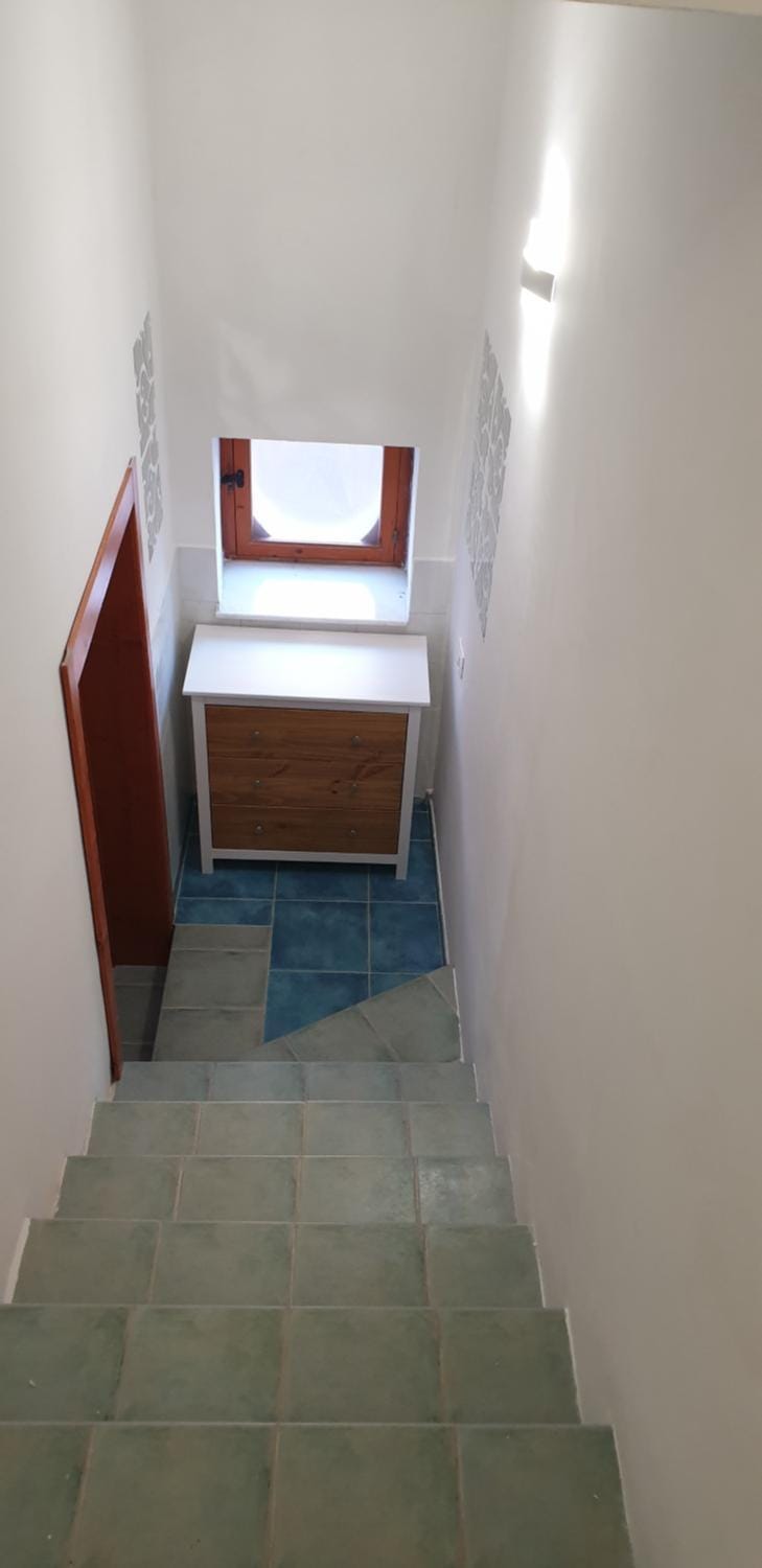 Toilet, Other