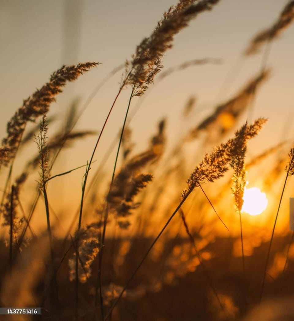 Natural landscape, Sunset