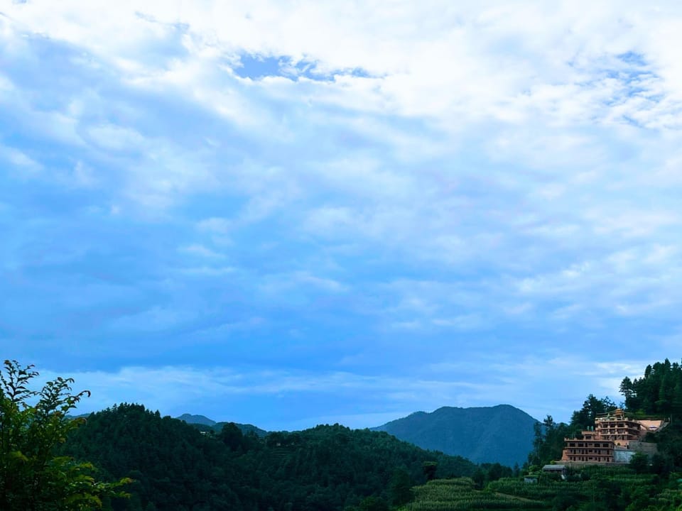 View (from property/room)