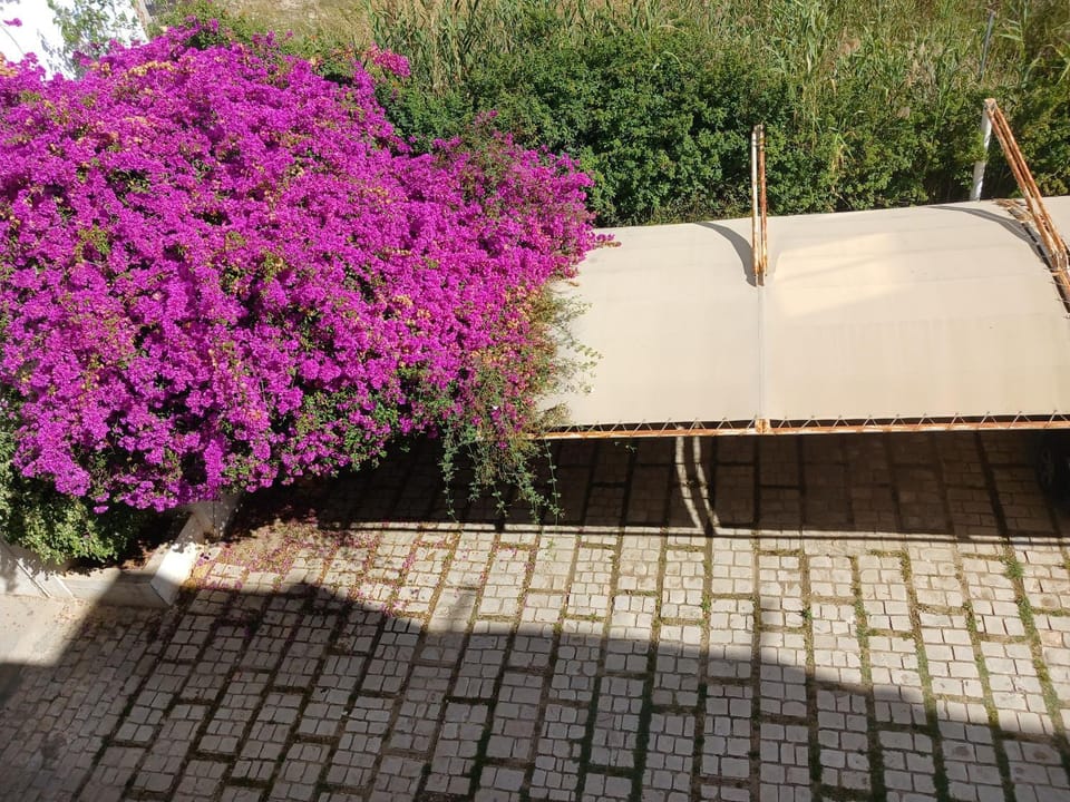 Special inn Lac 1 Apartment in Tunis