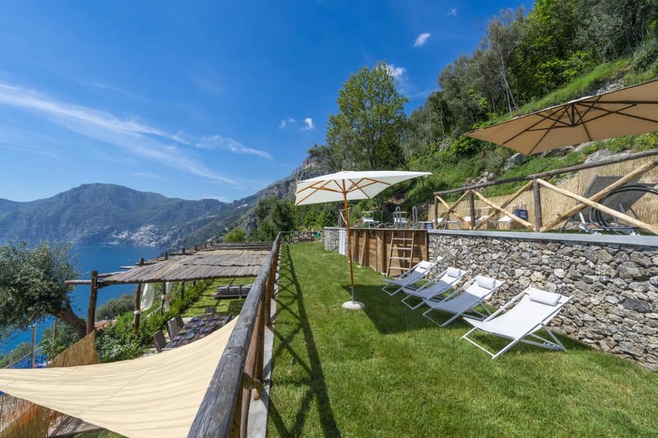 Natural landscape, Garden, sunbed