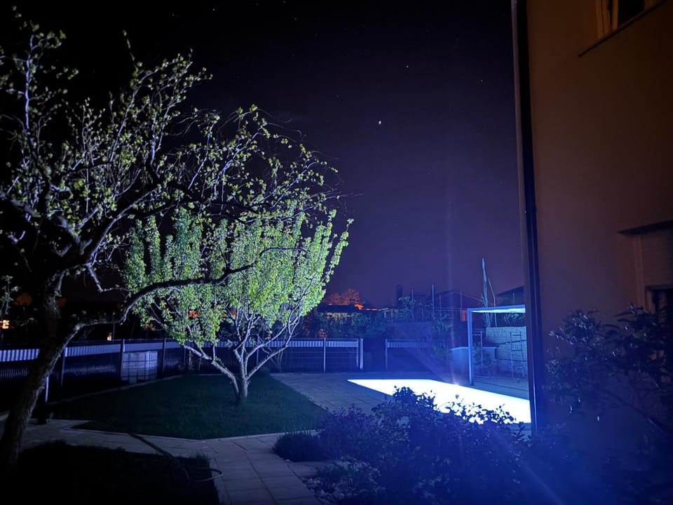 Night, Garden, Swimming pool