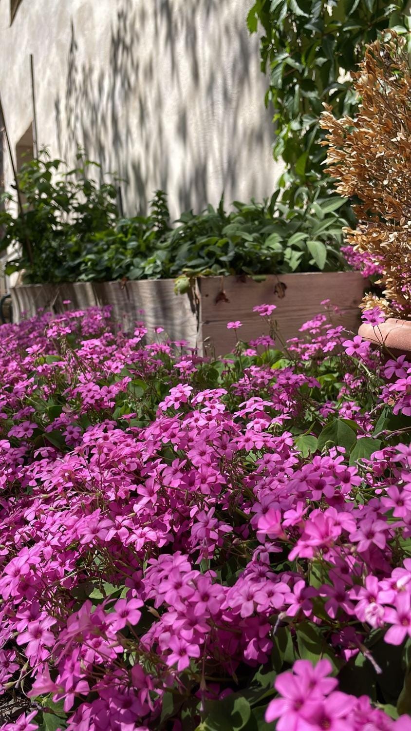 Studio indépendant avec piscine proche Lourmarin Apartment in Provence-Alpes-Côte d'Azur