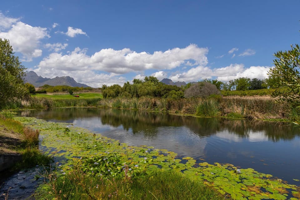 Natural landscape
