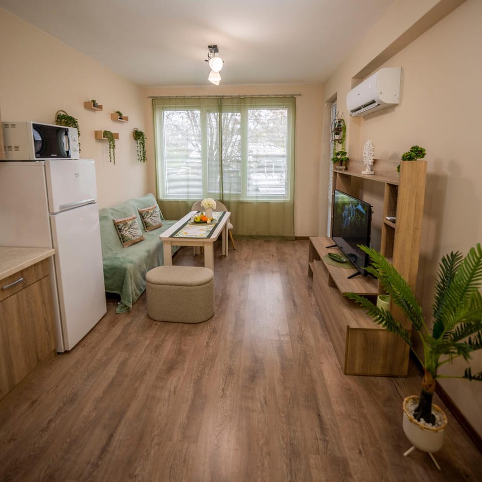 Communal lounge/ TV room, TV and multimedia, Kitchen or kitchenette, Living room, Seating area, Dining area, Evening entertainment, oven, air conditioner