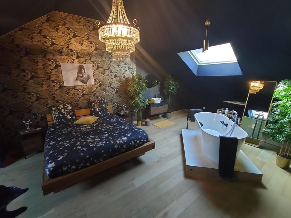 Photo of the whole room