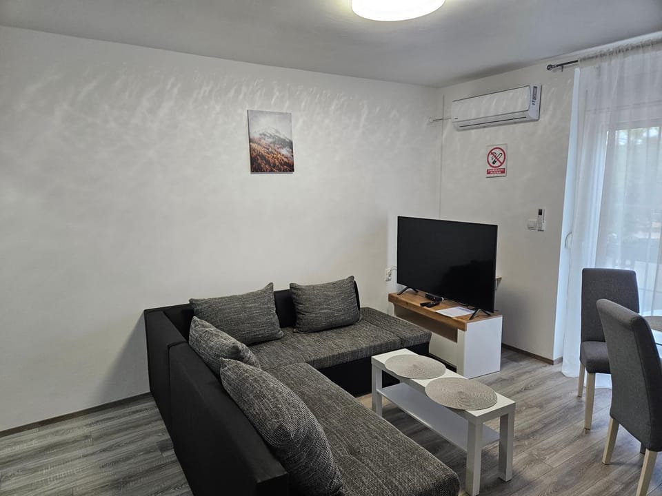 TV and multimedia, Living room, Seating area, air conditioner