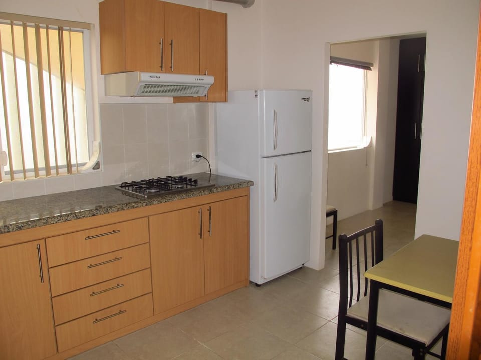 Kitchen or kitchenette, Photo of the whole room, Dining area