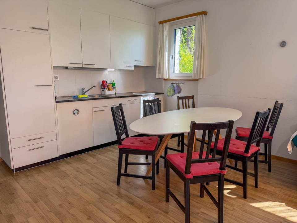 Res Roncaccio, Cancro by HolAp SA Apartment in Ascona