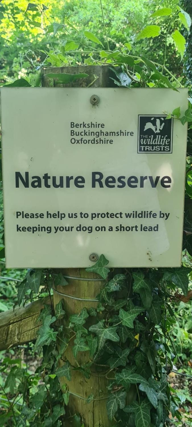 Treetops Studio Apartment Apartment in High Wycombe
