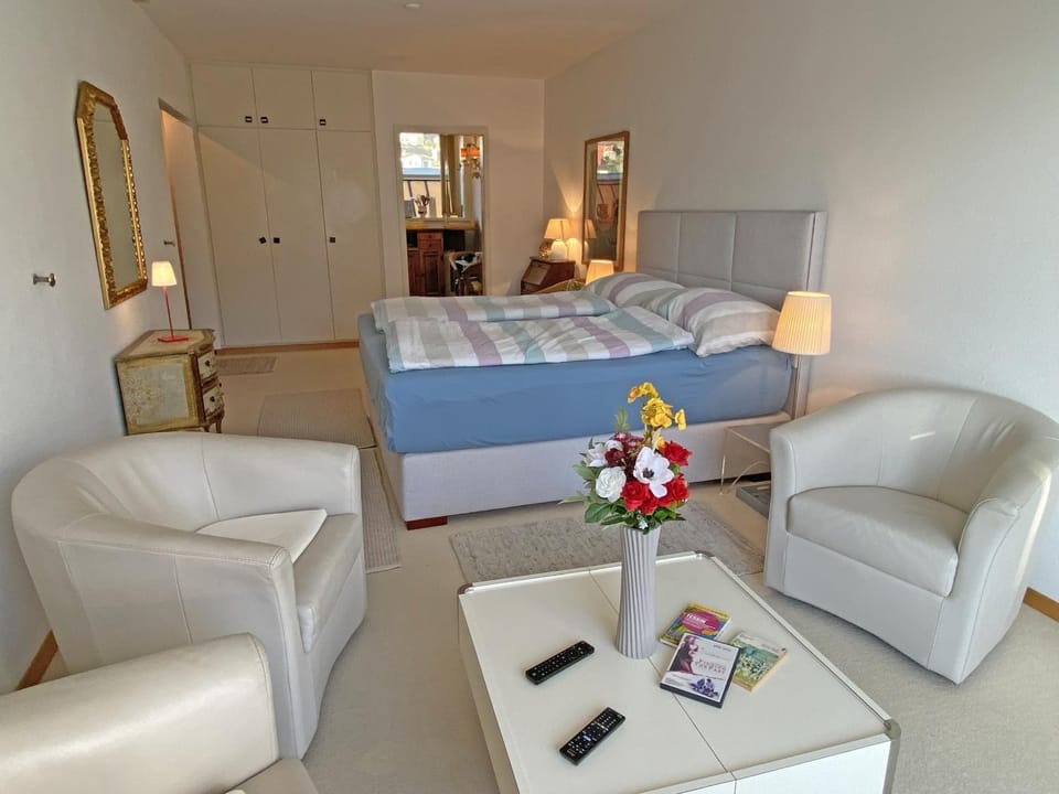 Casa Fontile, 1,5 Zimmerwohnung by HolAp SA Apartment in Locarno