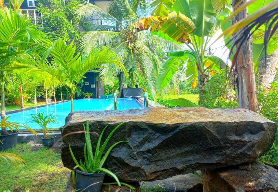 Natural landscape, Pool view