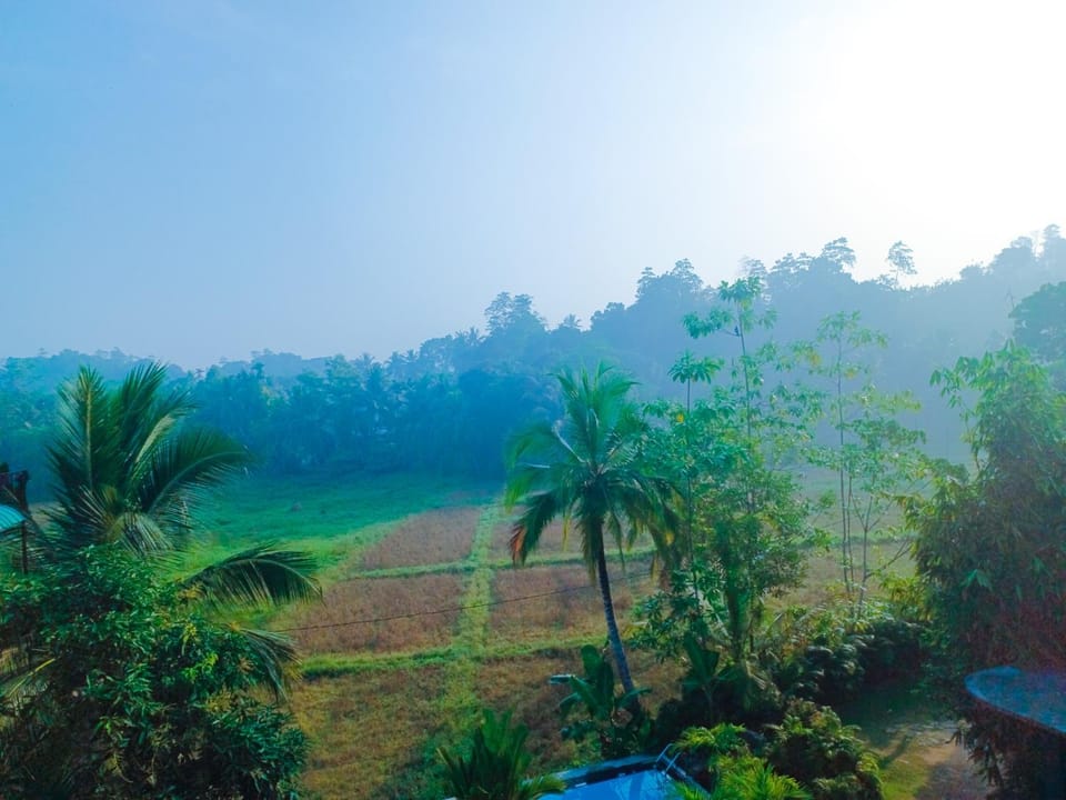 View (from property/room), View (from property/room), Balcony/Terrace